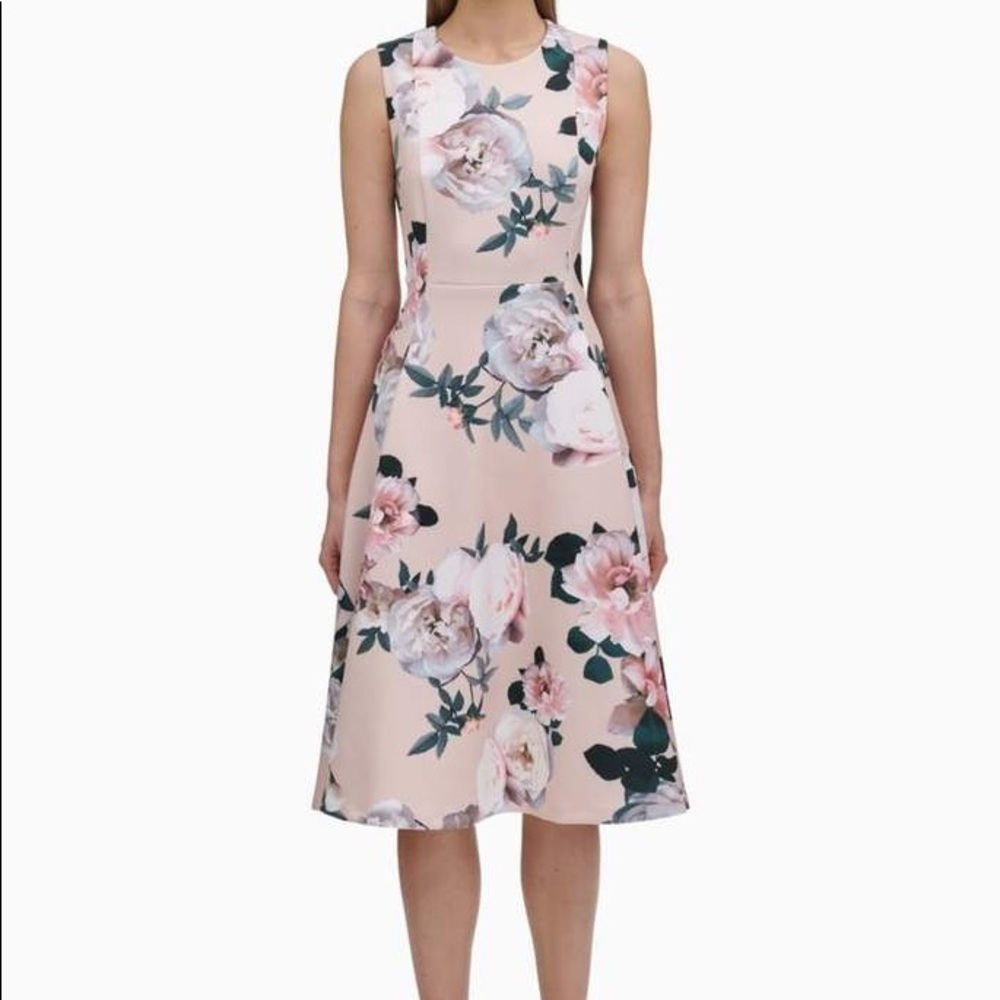 Calvin Klein women's scuba sleeveless floral dress
